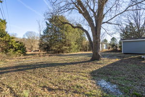 445 Cannon Farm Rd- Spacious Backyard