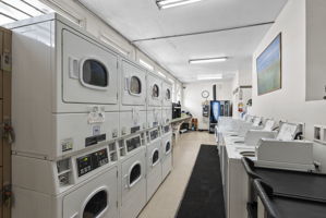  Photo 49