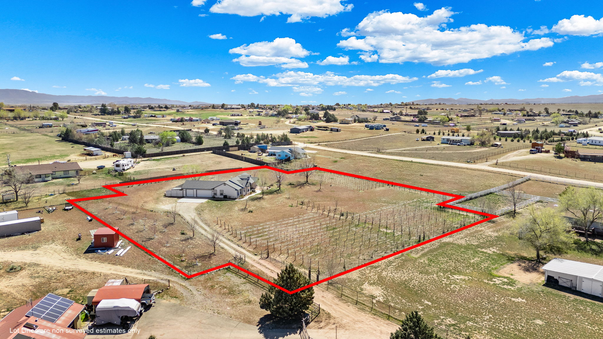 2+ Acres with Grapevines, Fruit Trees, Berry Bushes.