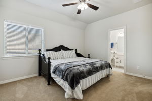 4451Crossvine_032
