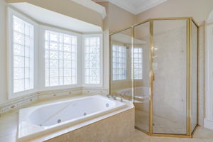 Jacuzzi Tub & Walk in Shower