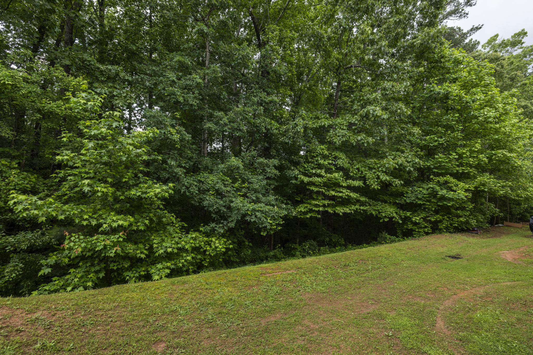 20250513_4457watson_dorfman066