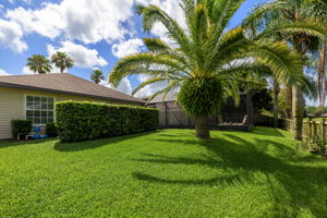 Back of Home