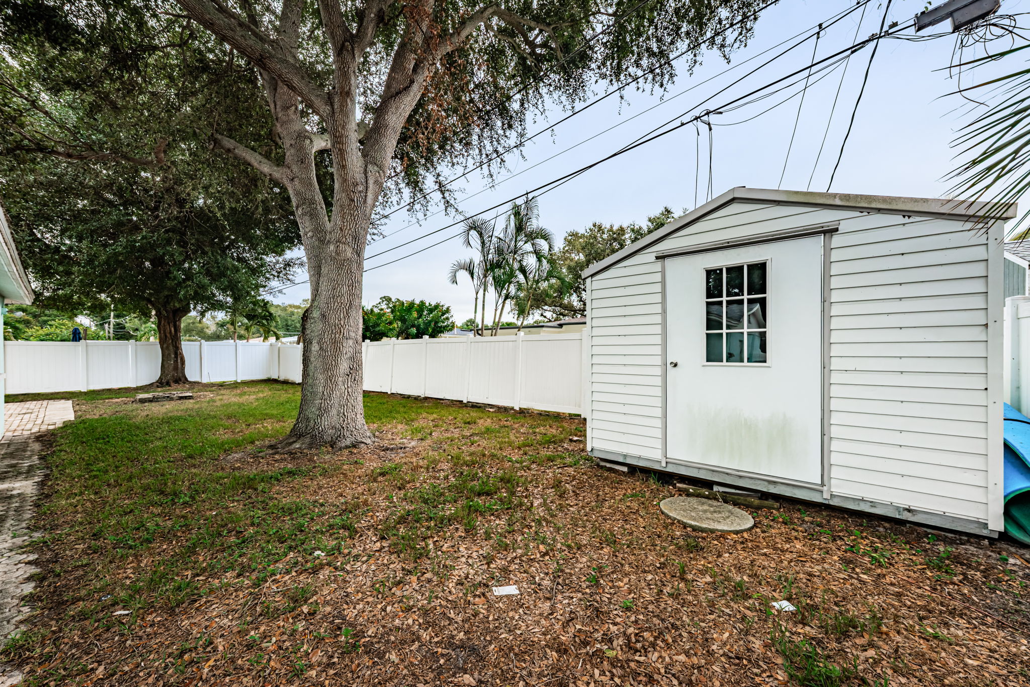 Shed 1
