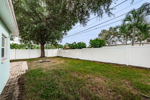 Backyard 2