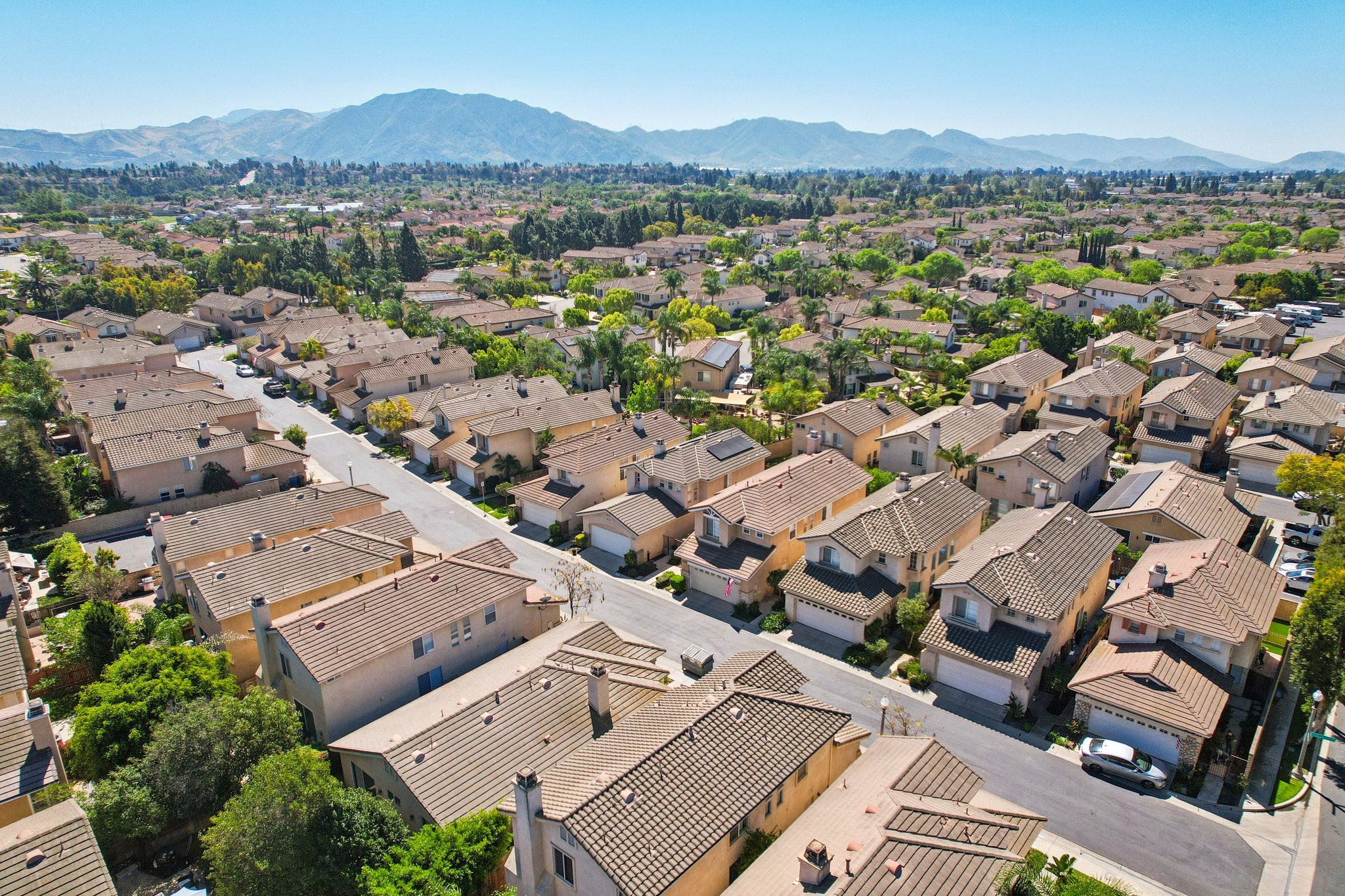 Corte Arbusto-S2103-047.jpg