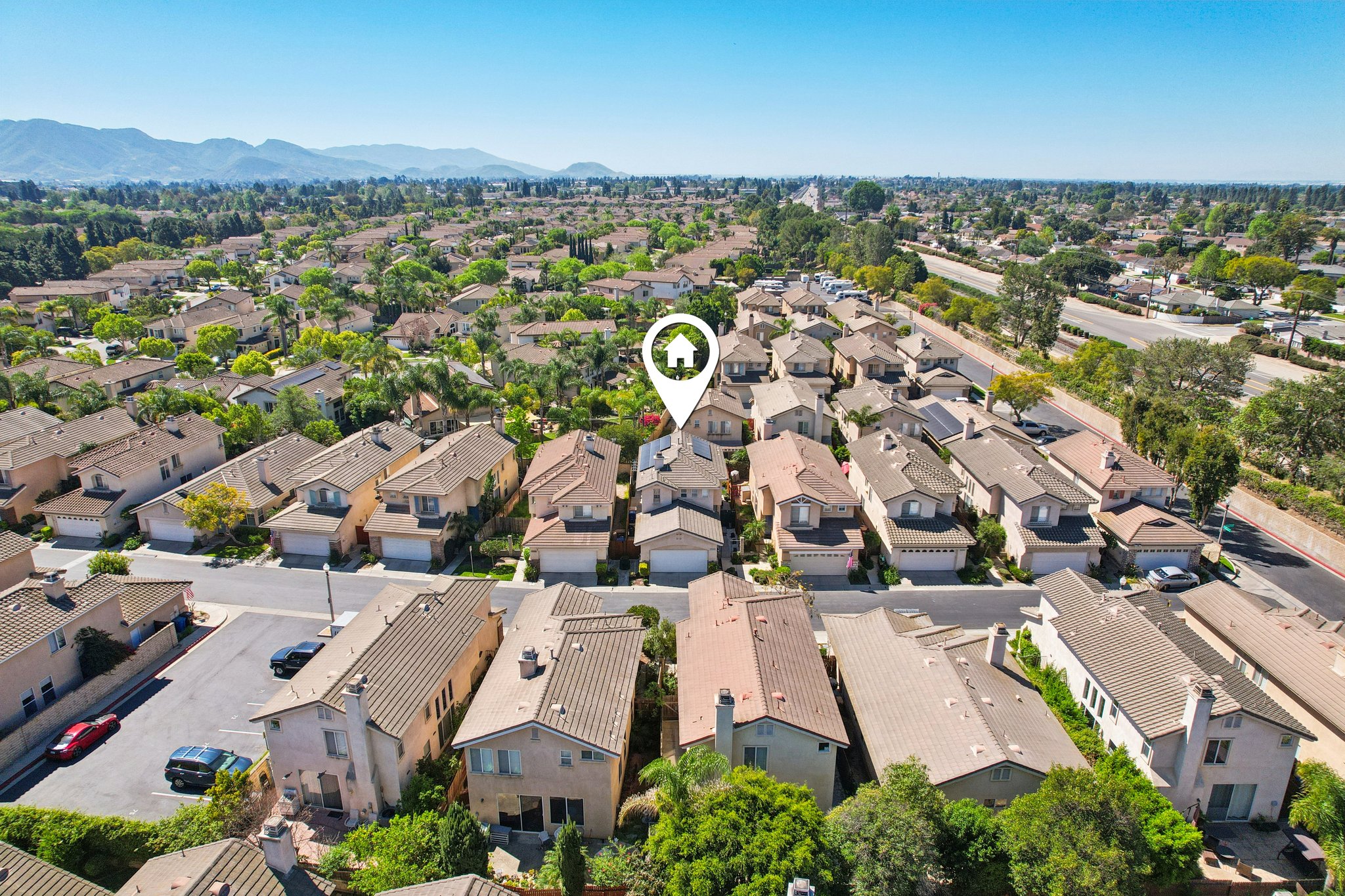 Corte Arbusto-S2103-049.jpg