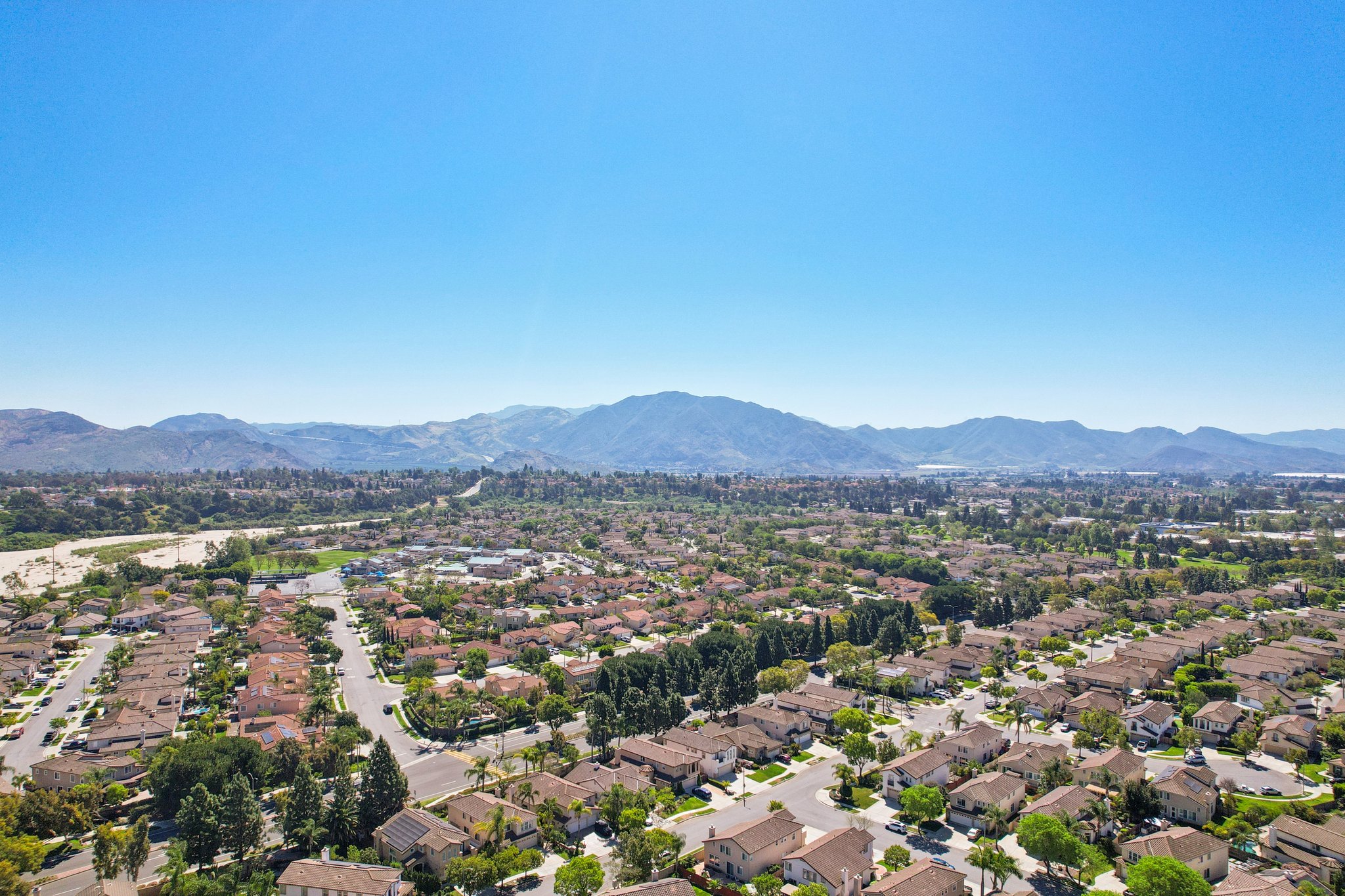 Corte Arbusto-S2103-052.jpg