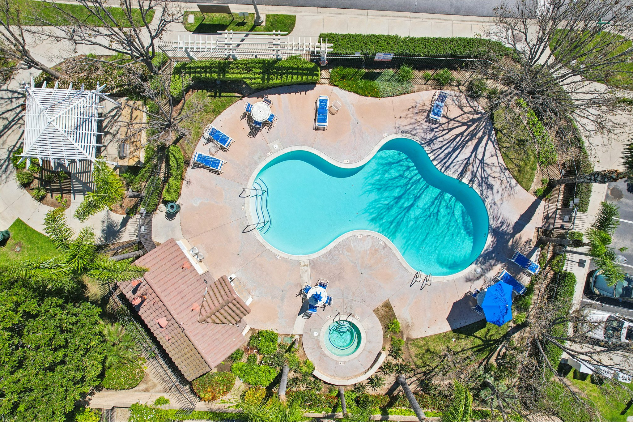 Corte Arbusto-S2103-053.jpg