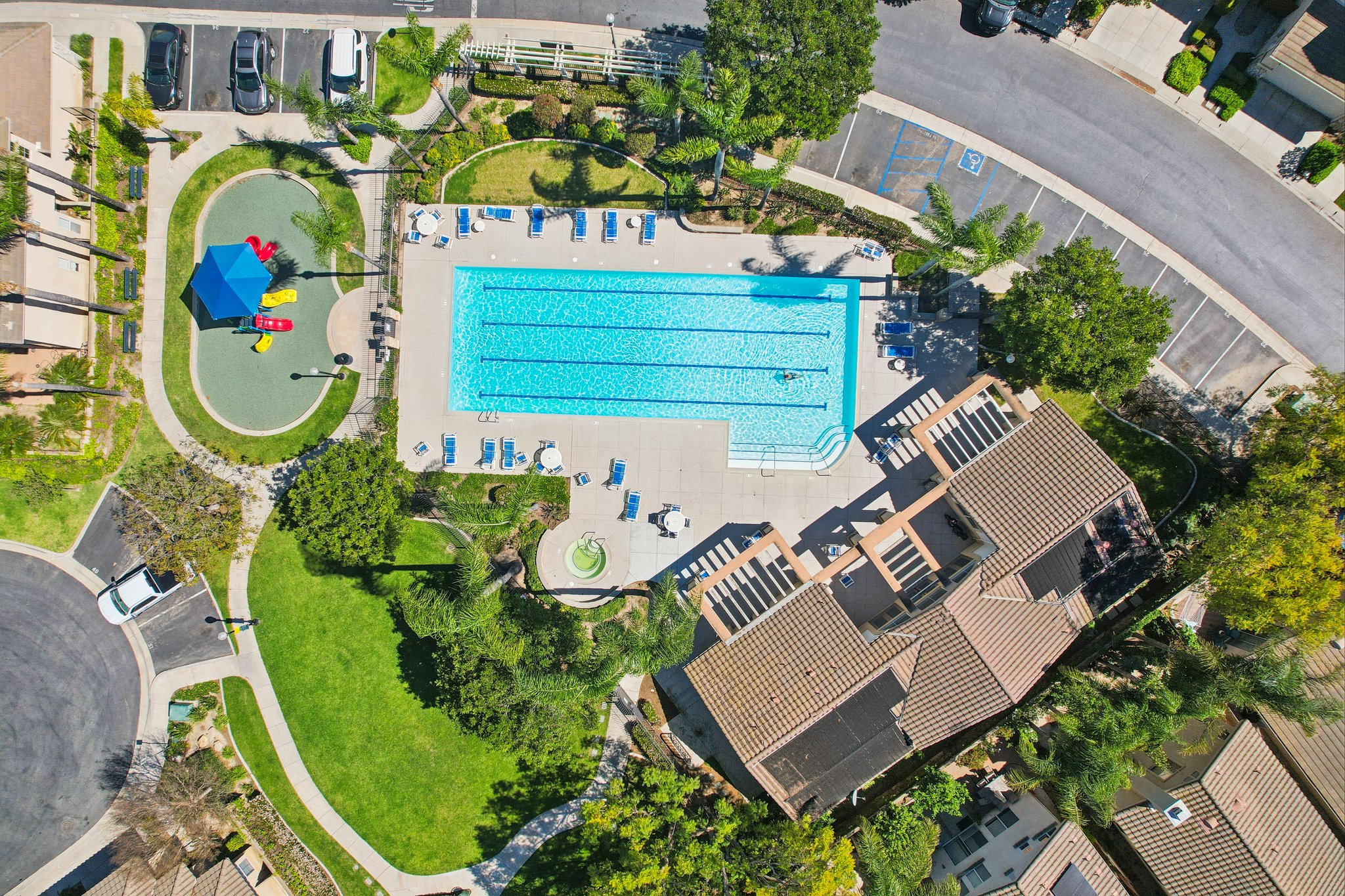 Corte Arbusto-S2103-054.jpg