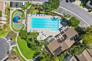 Corte Arbusto-S2103-054.jpg