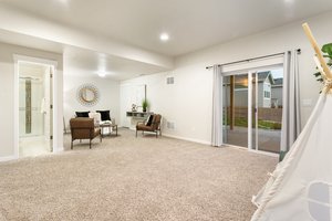 Basement With Walkout to Yard