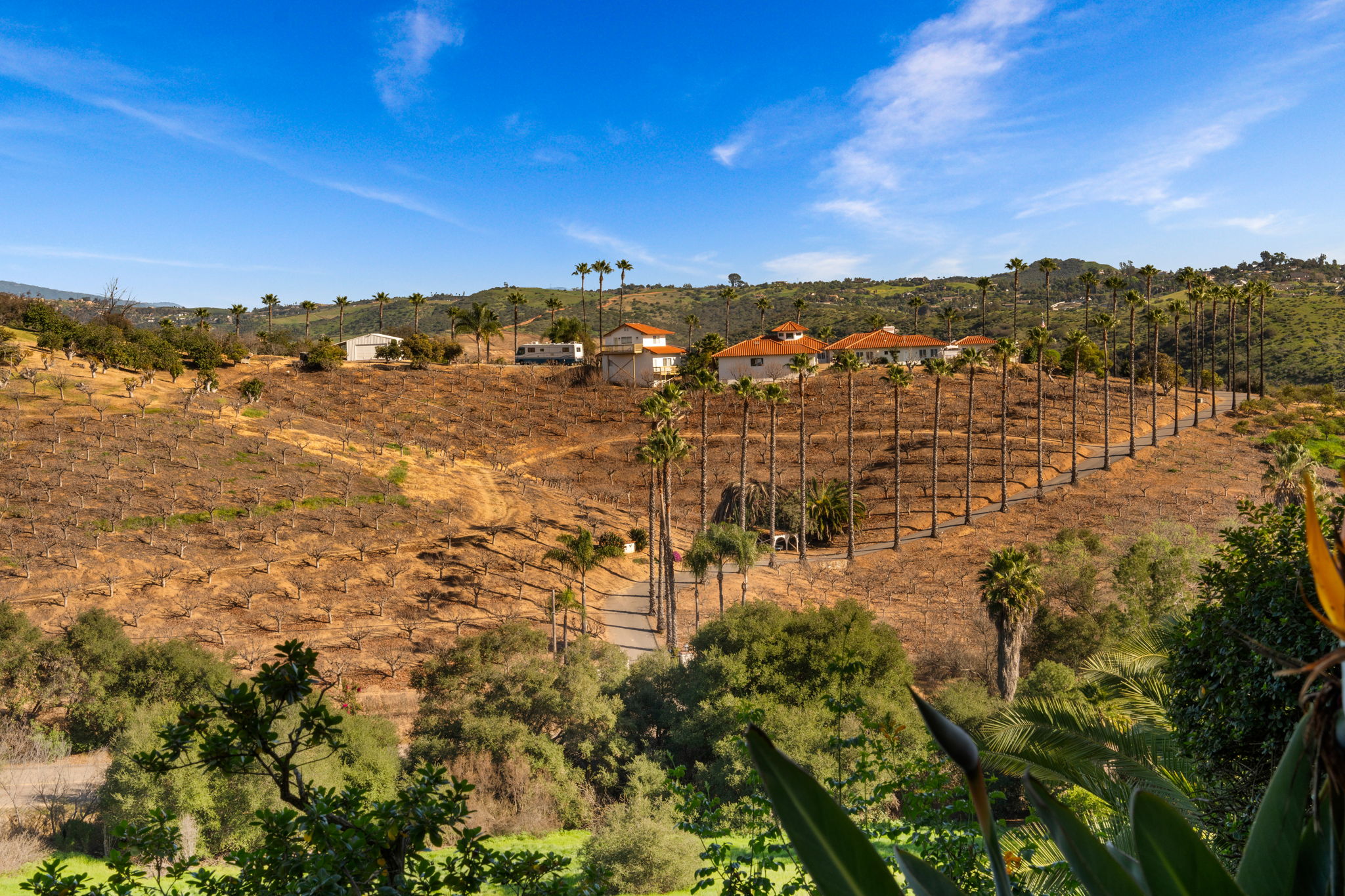 4462 Fallsbrae Rd-94