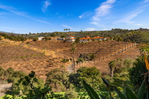 4462 Fallsbrae Rd-94