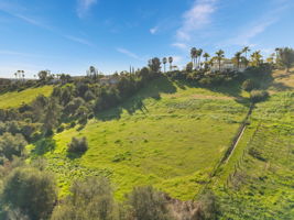 4462 Fallsbrae Rd-19