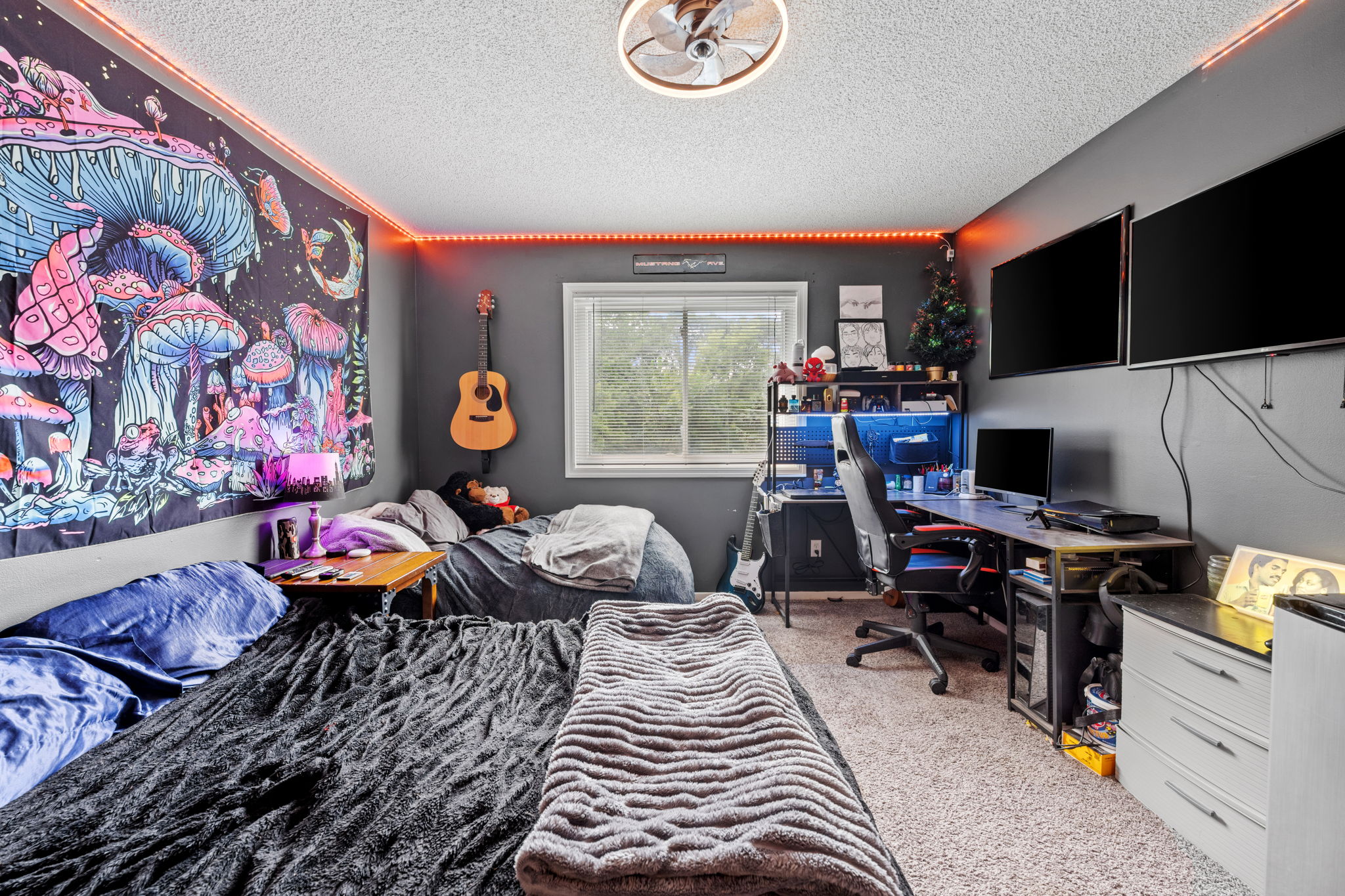  Photo 41