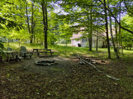  Photo 31