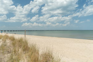 4468 Ocean View Ave, Virginia Beach, VA 23455, USA Photo 48