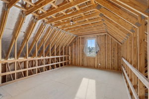  Photo 38