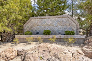 4479 Troon Ct, Reno, NV 89519, USA Photo 52