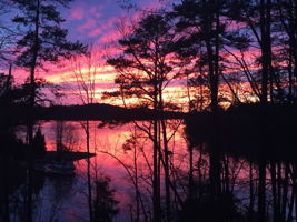  Photo 117