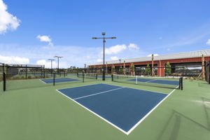  Photo 76