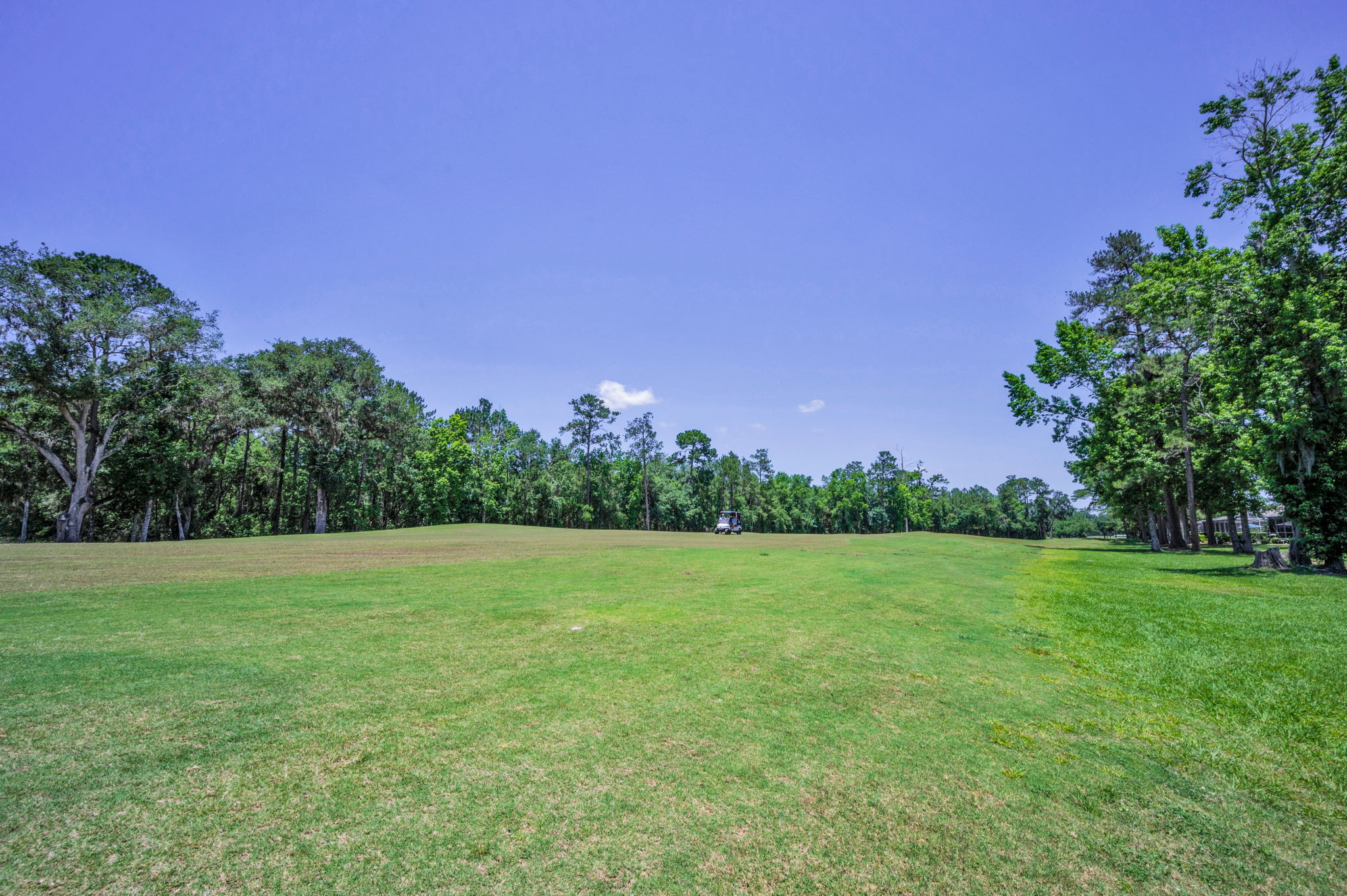 Golf Course2