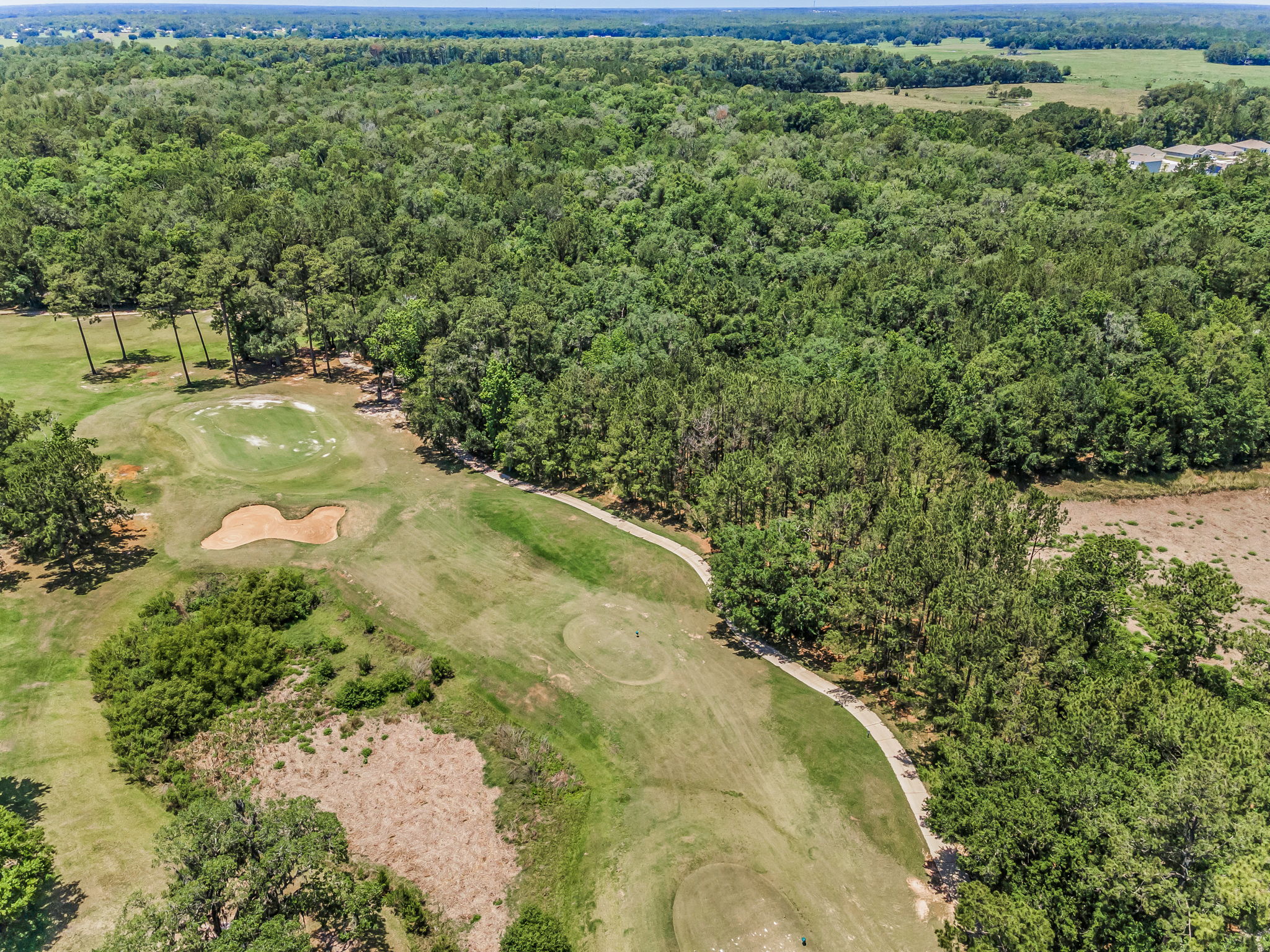 Aerial (13)