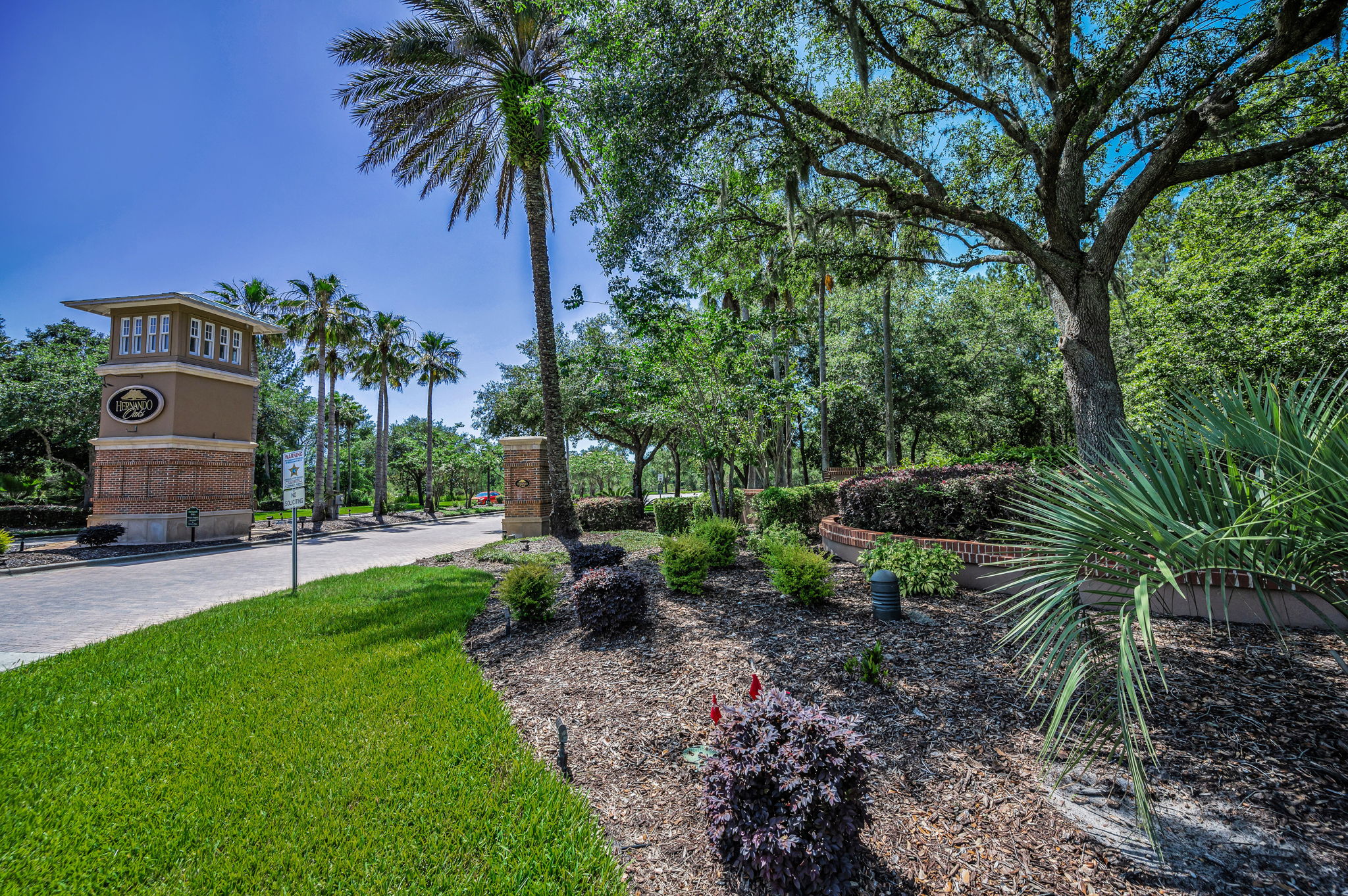 3-Hernando Oaks
