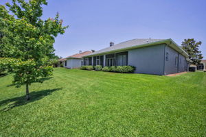 Backyard5