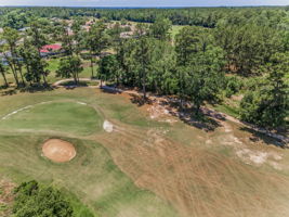Aerial (9)