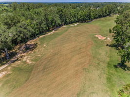 Aerial (10)