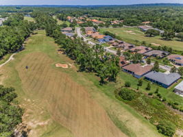 Aerial (17)