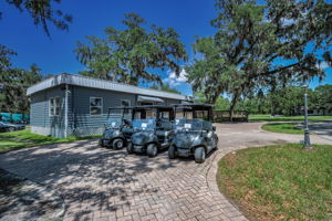 10-Pro Shop