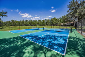 16-Pickleball