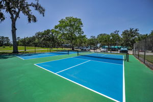 17-Pickleball