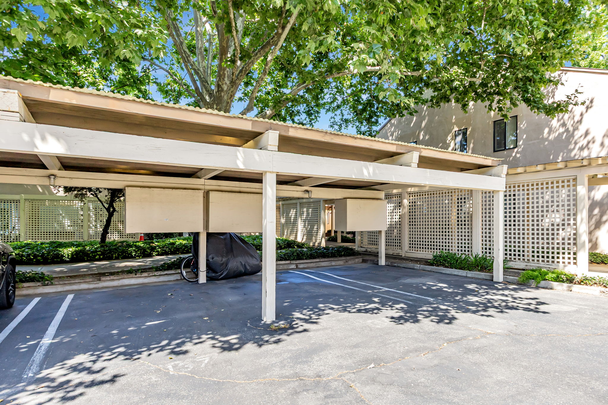 046_449 Alberto Way C138_
