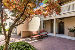 001_449 Alberto Way C138_