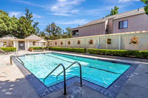 038_449 Alberto Way C138_