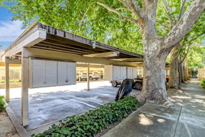 045_449 Alberto Way C138_