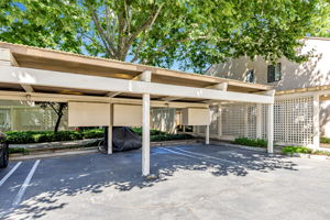 046_449 Alberto Way C138_