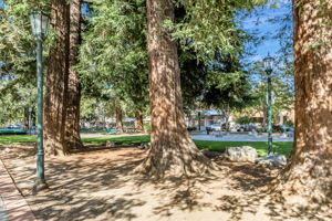 051_449 Alberto Way C138_
