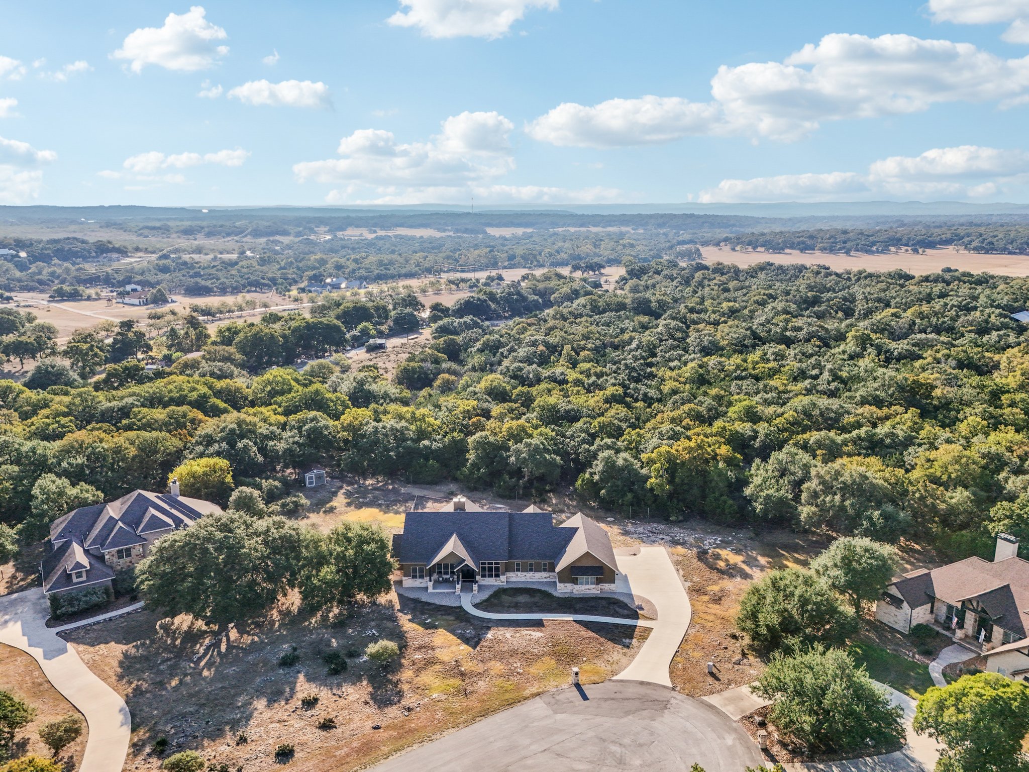 Hanging Oak-S0310-070.jpg