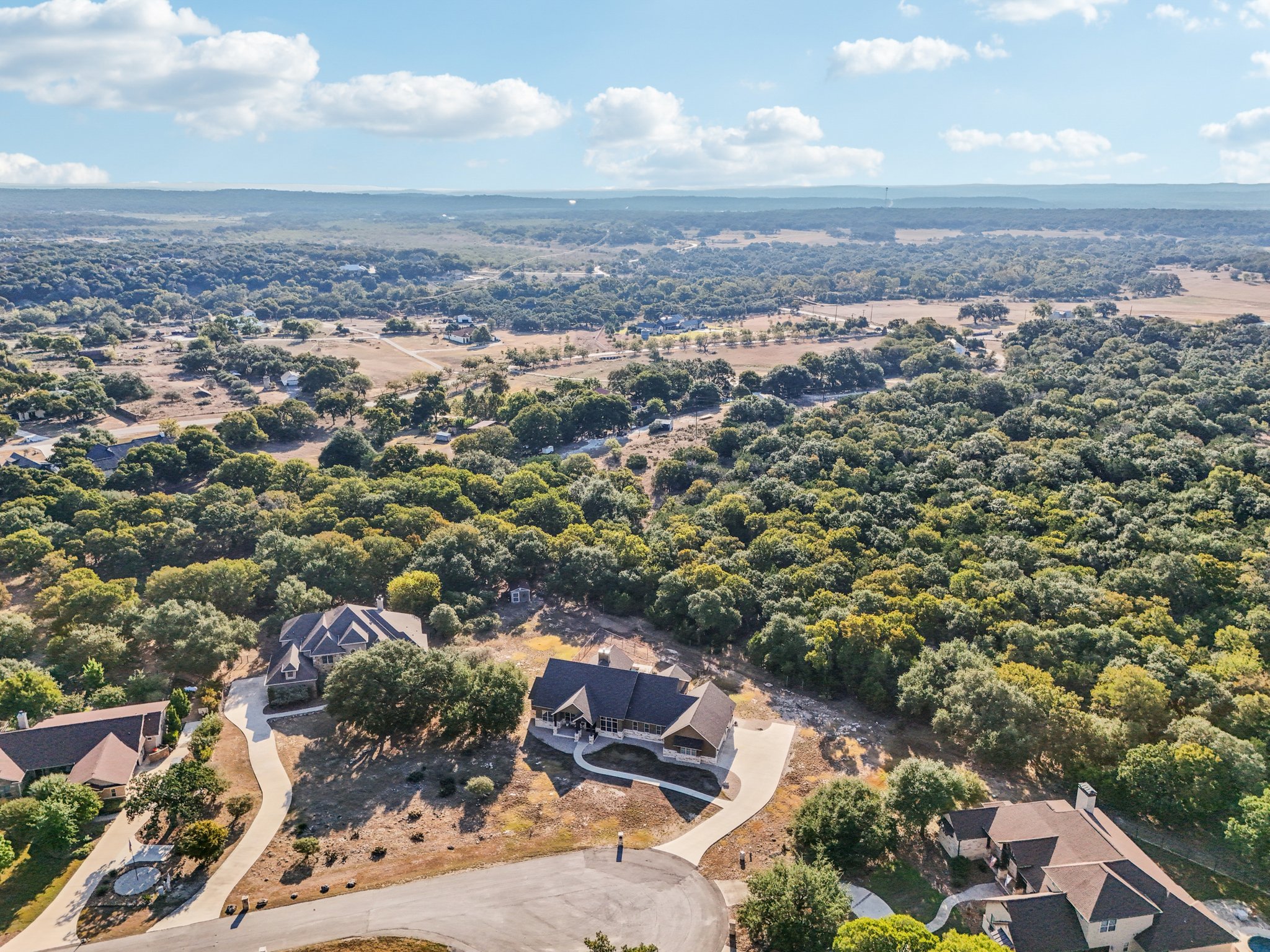 Hanging Oak-S0310-072.jpg