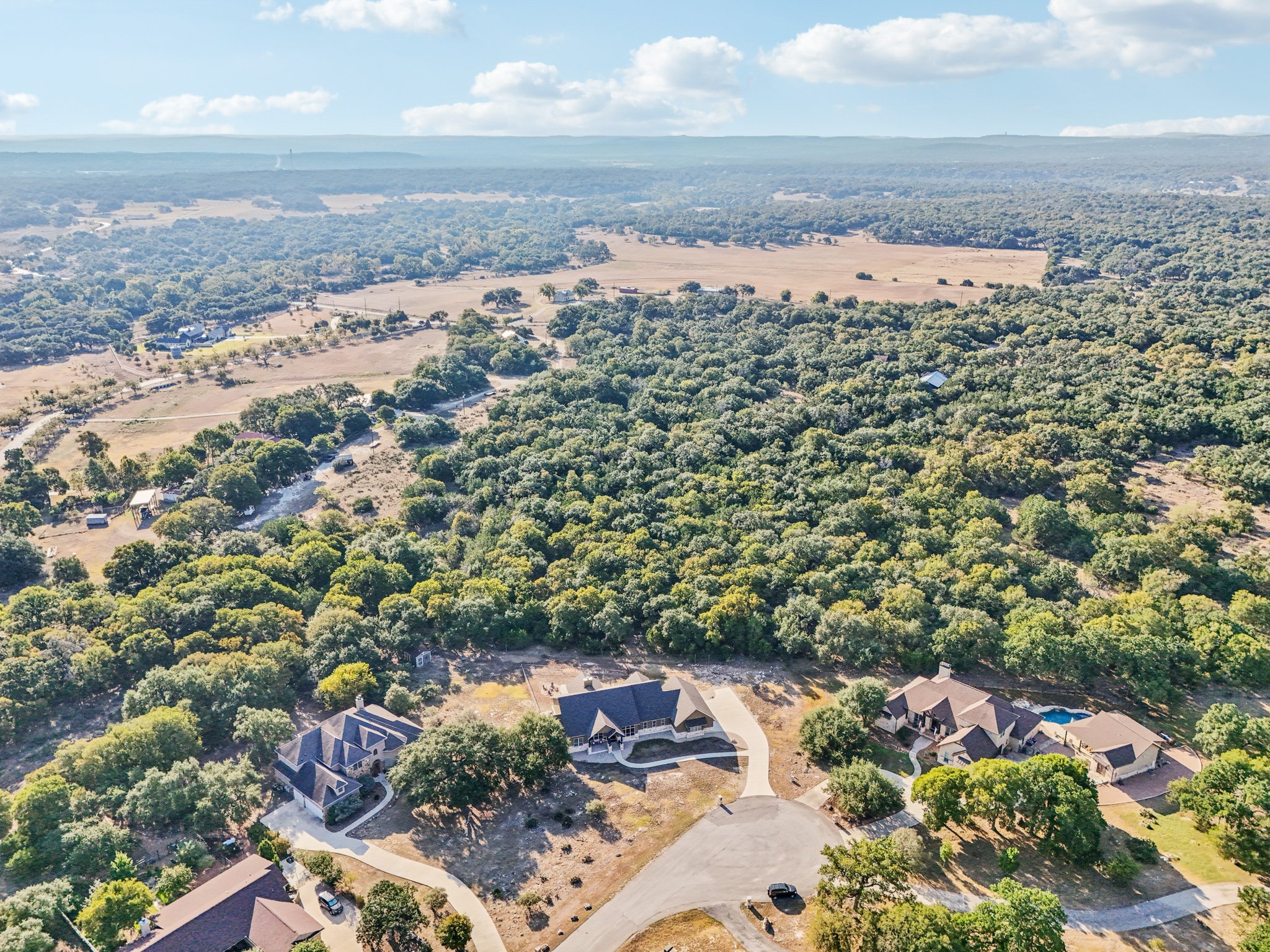 Hanging Oak-S0310-073.jpg