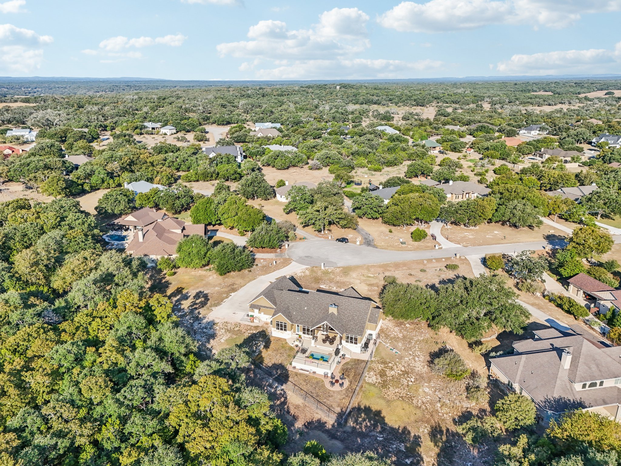 Hanging Oak-S0310-077.jpg