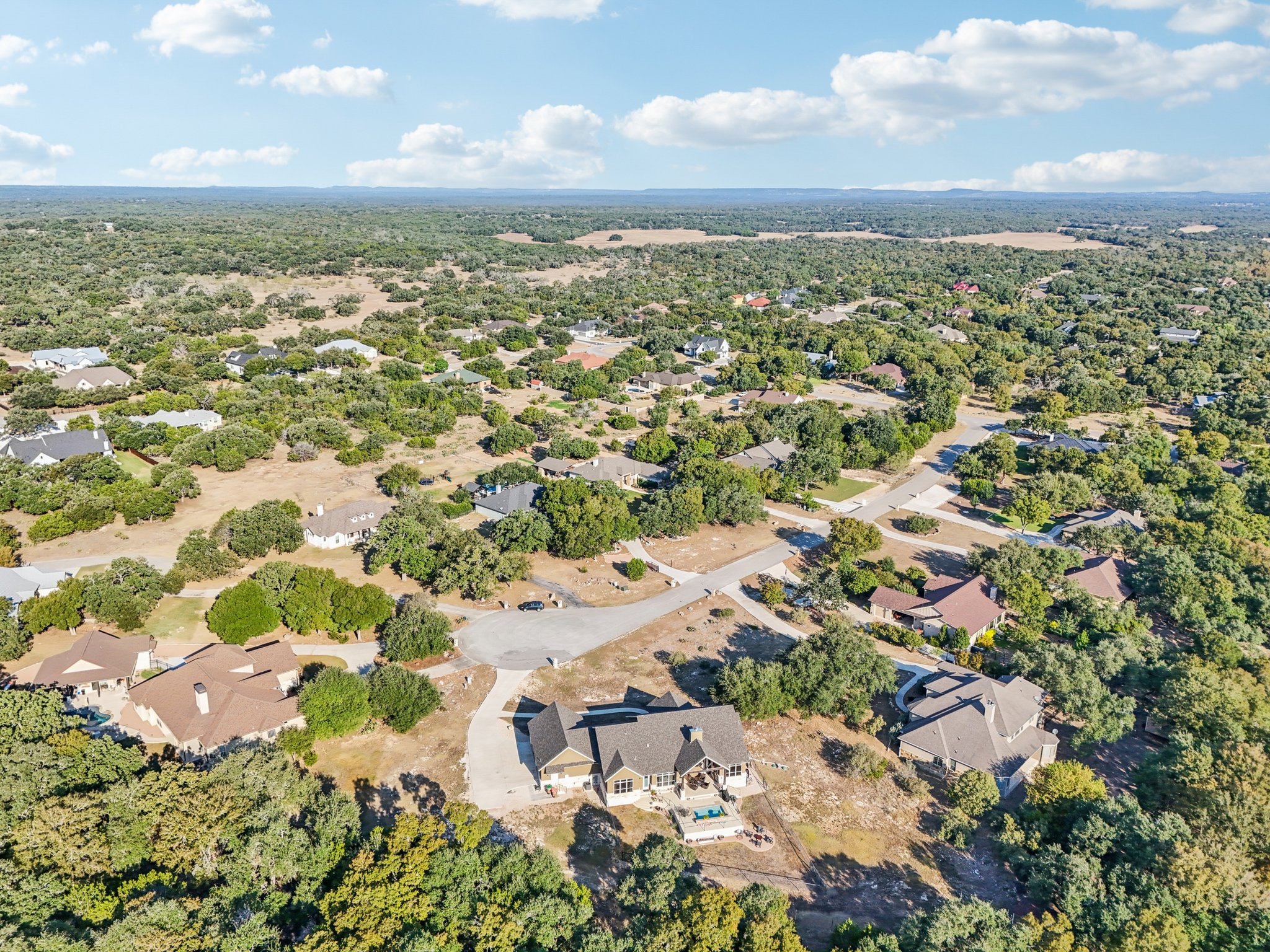 Hanging Oak-S0310-078.jpg