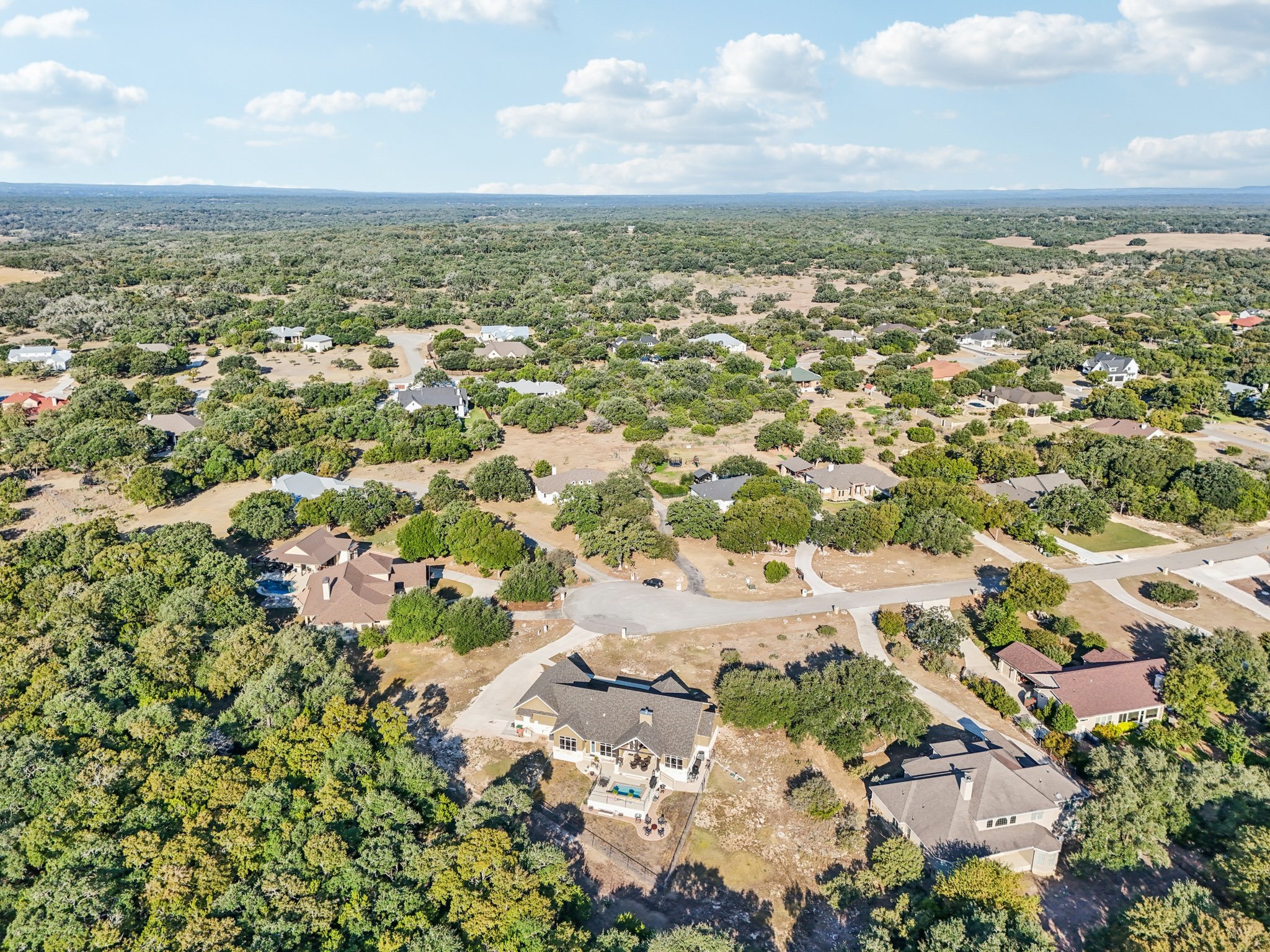 Hanging Oak-S0310-079.jpg
