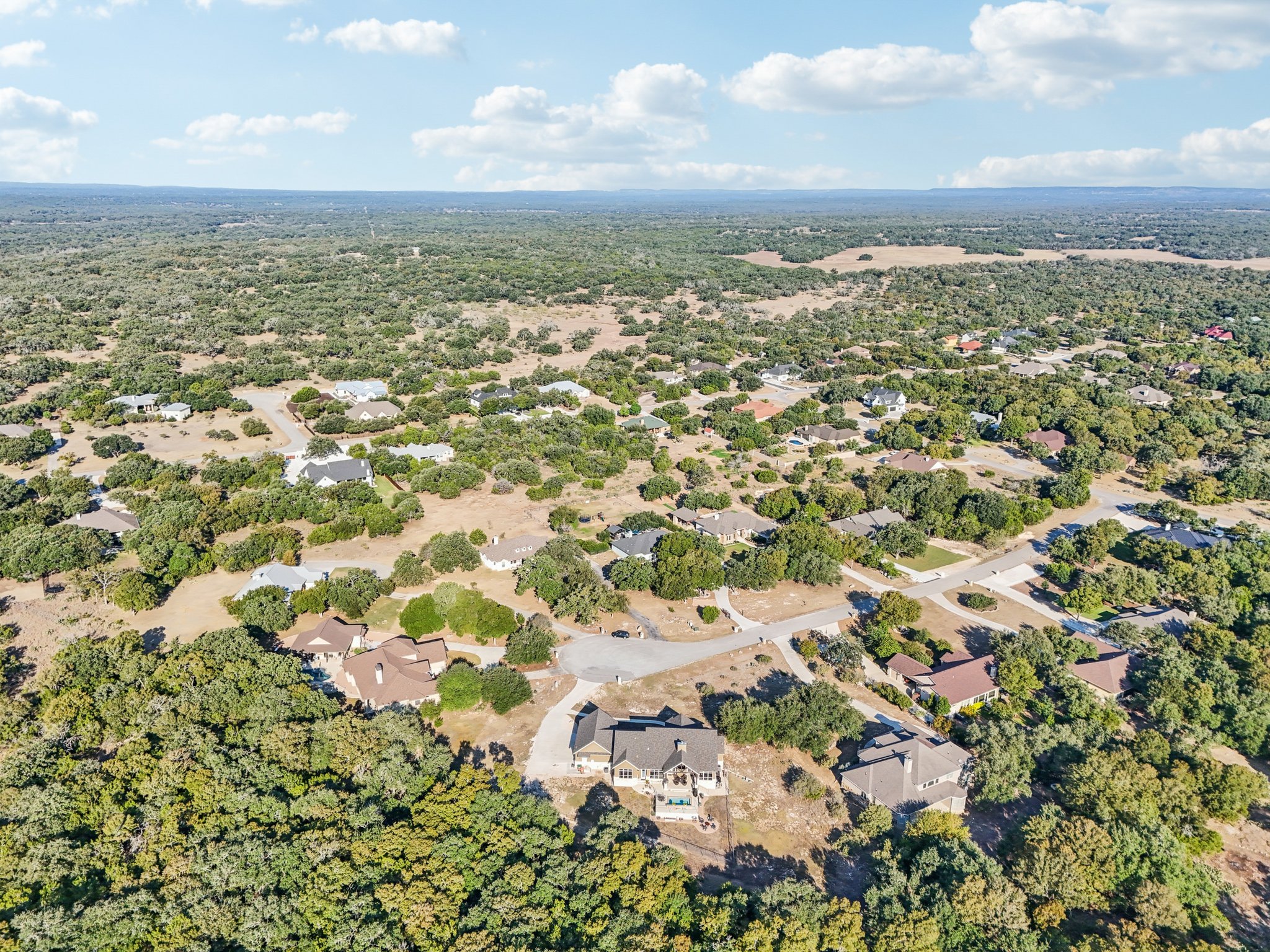 Hanging Oak-S0310-080.jpg