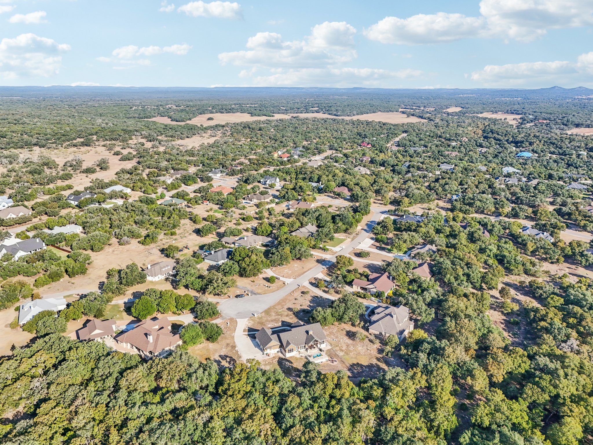 Hanging Oak-S0310-082.jpg